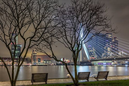 Een andere kijk op de skyline van Roterdam