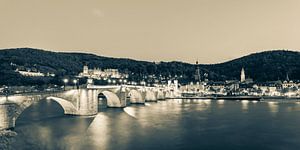 Skyline Heidelberg bei Nacht - Monochrom von Werner Dieterich