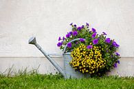 Flower watering can van Andreas Müller thumbnail