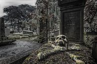 skullgrave by Coco Goes Urbex thumbnail