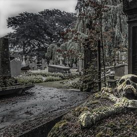 skullgrave by Coco Goes Urbex