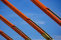 Oranje  Kranen tegen blauwe lucht by Alice Berkien-van Mil thumbnail
