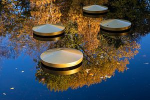 Gouden reflecties