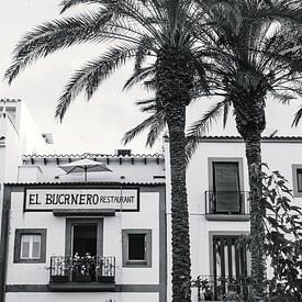 Paysage de palmiers à Ibiza sur Rob van Dongen