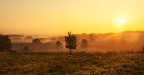 Zonsopkomst boven de Brunssummerheide in Zuid-Limburg