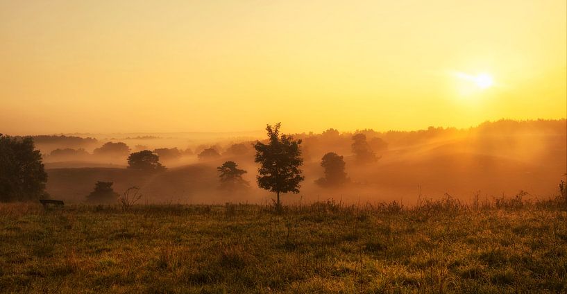 Zonsopkomst boven de Brunssummerheide in Zuid-Limburg van John Kreukniet