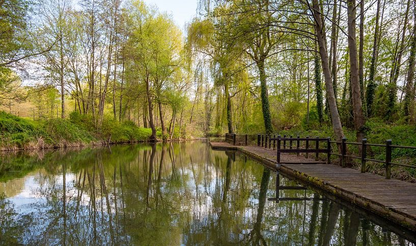 La nature au bord de la Spree dans le Spreewald par Animaflora PicsStock