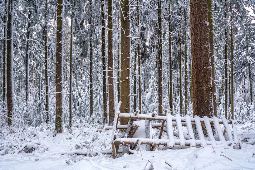 Der gefallene Hochsitz von Uwe Ulrich Grün