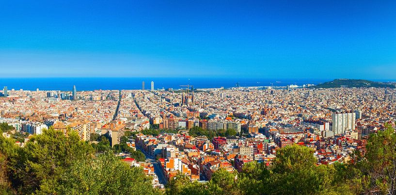 Vue panoramique de la ville de Barcelone depuis la montagne. par Yevgen Belich