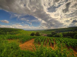 Die Weinberge der Côte de Beaune, Côte-d'Or, Frankreich. von Jan Plukkel