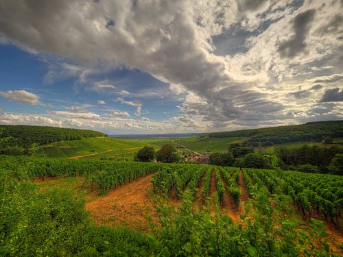 Die Weinberge der Côte de Beaune, Côte-d'Or, Frankreich.