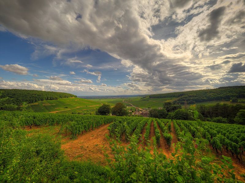De wijnvelden van de Côte de Beaune, Côte-d'Or, Frankrijk. van Jan Plukkel