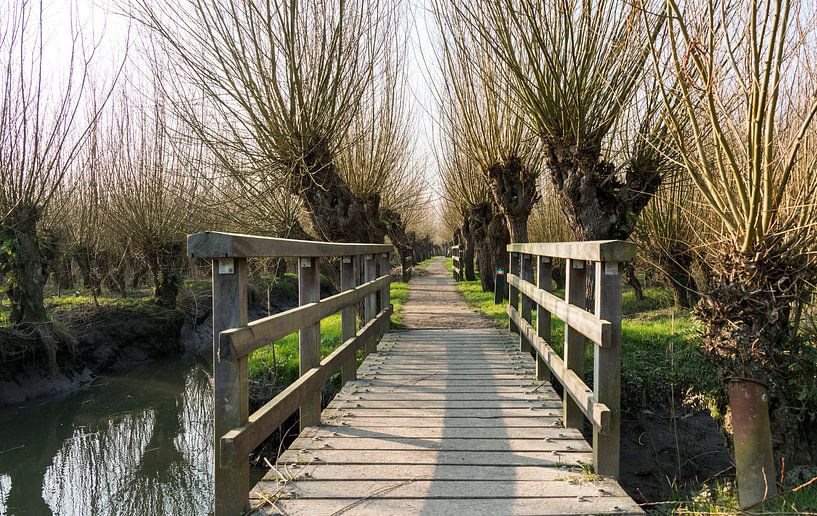 houten bruggetje en een pad met knotwilgen von ChrisWillemsen
