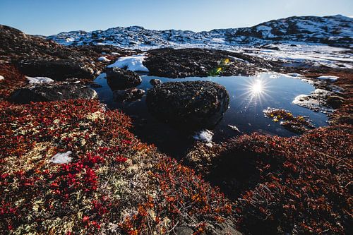 Autumnal landscape in Disko Bay, Greenland