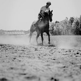 Un cheval de course qui court en noir et blanc sur Dieuwertje Van der Stoep