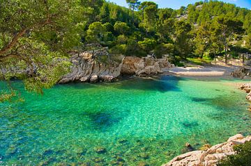 Calanque Port Pin on the Côte d'Azur by Tanja Voigt