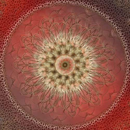 Abstract figure in pink by Carla van Zomeren