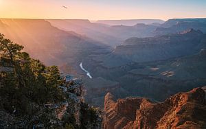 Canyon in Sonnenstrahlen gekleidet von Loris Photography