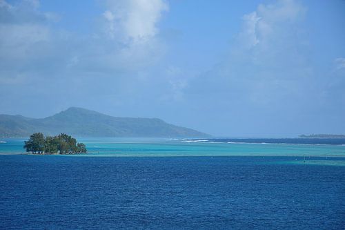 Ra'iātea looks promising