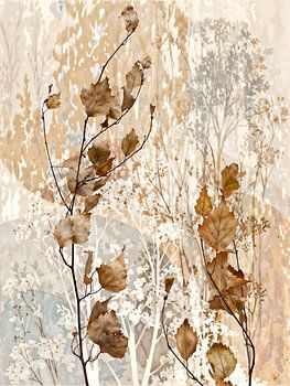 Softcolors