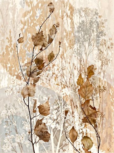 Softcolors von Jack Schoneveld