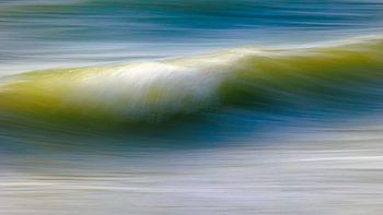 The wave