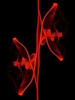 Smoke 3