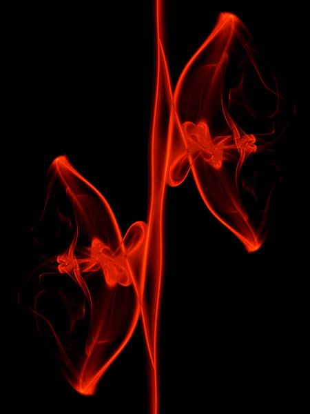 Smoke 3 van Ronald Hol
