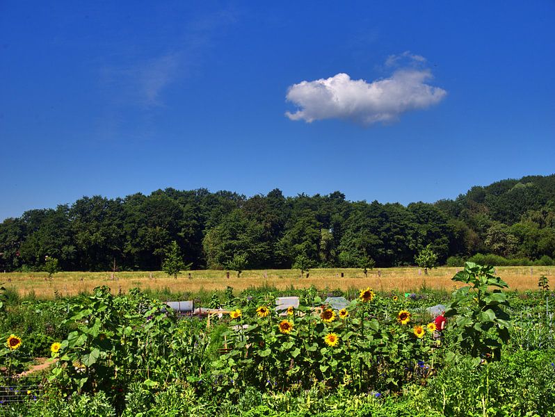 Tuinland van Edgar Schermaul