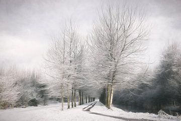Der Winter ist hier von Lars van de Goor