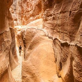 Spaziergang durch die Schlucht von Leendert Noordzij Photography