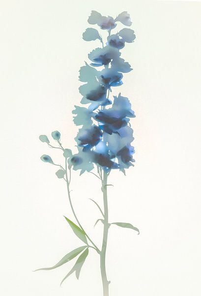 Blue and green by tim eshuis