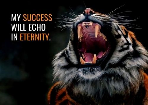 Tijger Diermotivatie