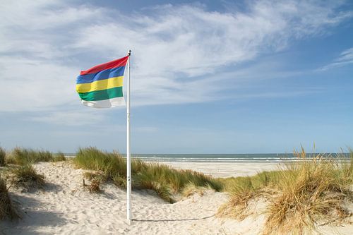 Strand en duinen van Terschelling met vlag  #1