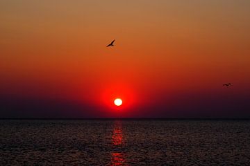 Rode zonsondergang aan zee - Noordzee van Edeltraut K. Schlichting