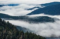 Brouillard dans la vallée de la montagne par Sam Mannaerts Aperçu