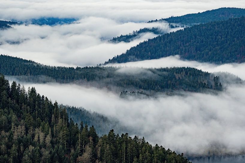 Mist in het bergdal van Sam Mannaerts