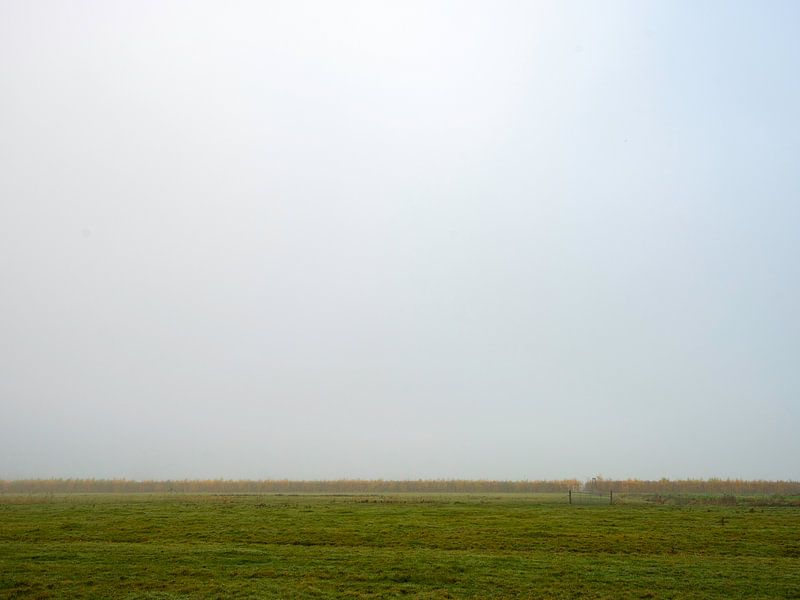 Paysages d'automne Haar-Zuijlens, Utrecht par Roland de Zeeuw
