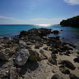 Curaçao Daaibooi sur Bfec.nl