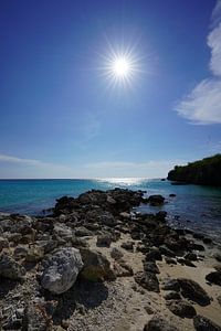 Curaçao Daaibooi