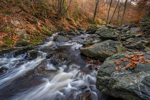 Felsen