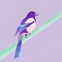 Illustrated magpie, purple