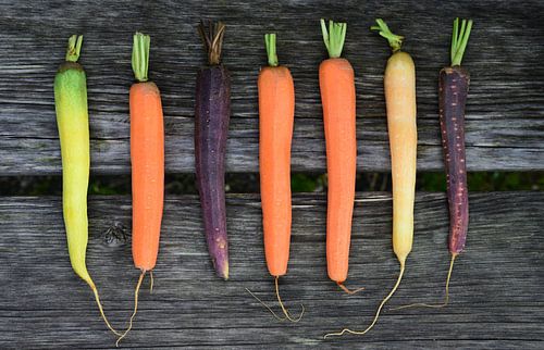 Carottes épluchées