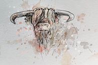 Aquarel schotse hooglander - inkt pen waterverf en digitaal artwork van Emiel de Lange thumbnail