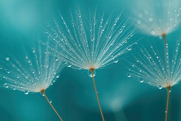 Dew on dandelion fluff macro by Art & Soul Creations