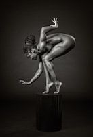 Delicately Poised