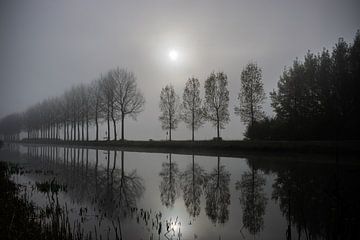 Nebliger Morgen am Ufer des Flusses Linge