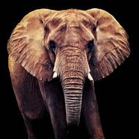 Olifant