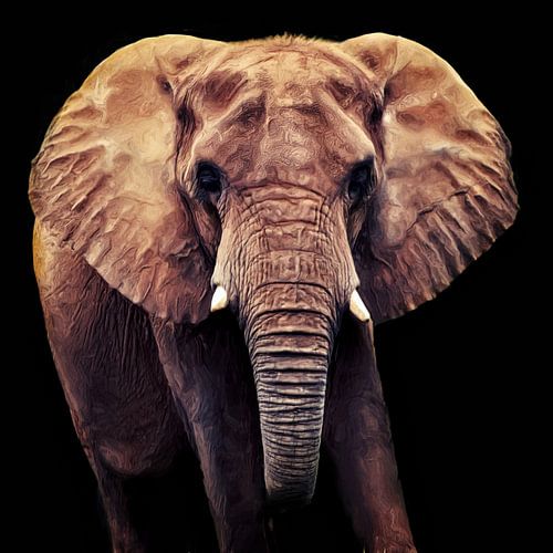 Éléphant sur AD DESIGN Photo & PhotoArt
