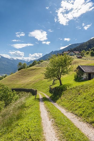 Ahrntal Zonnepad bij St. Johann in Zuid-Tirol, Italië van Christian Müringer